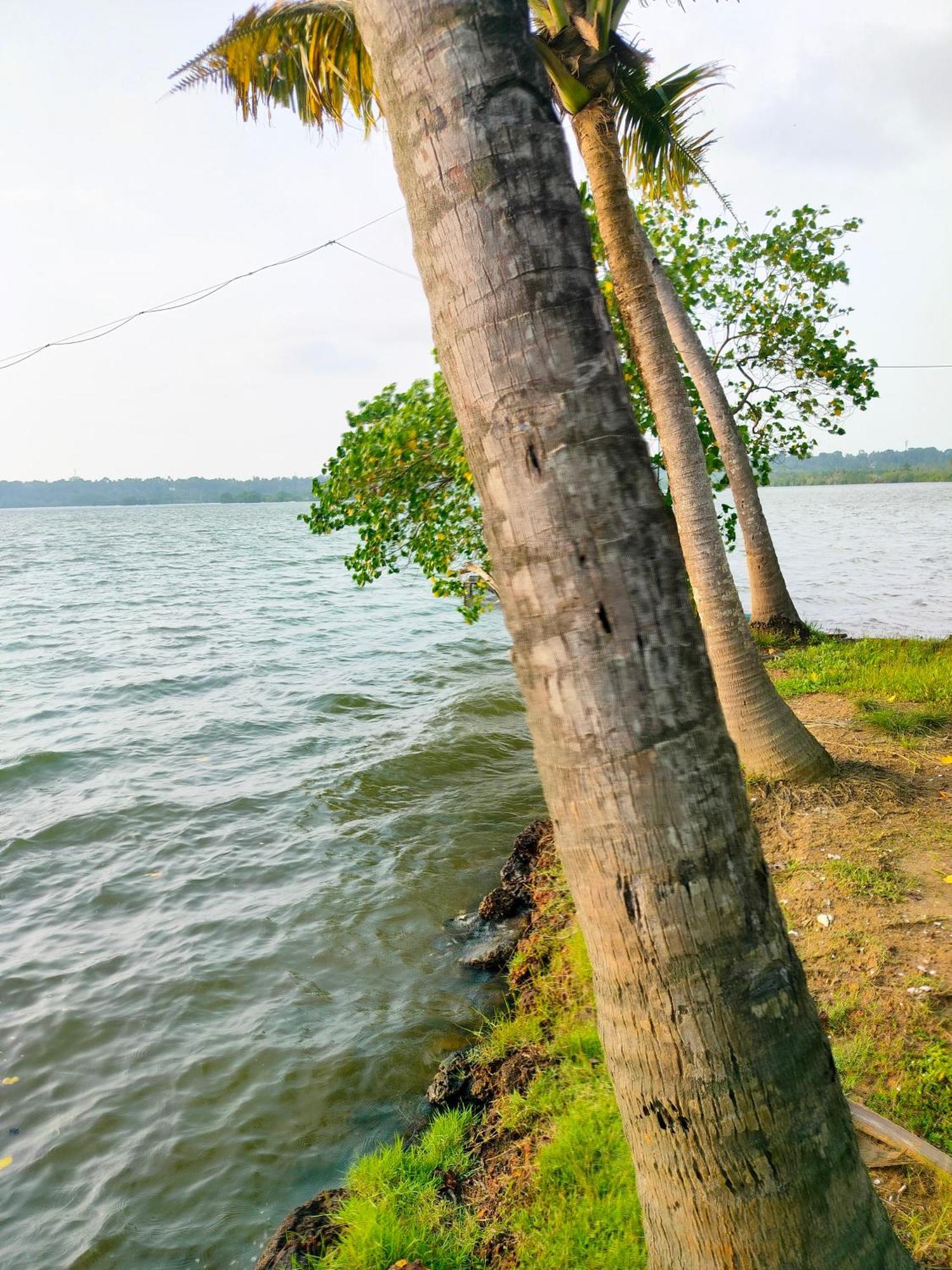 Munroe Inn Homestay Kollam Exteriör bild